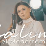 دانلود موزیک و ویدئوی جدید Gunel Meherremova به نام Zalim