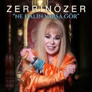 دانلود موزیک و ویدئوی جدید Zerrin Ozer به نام Ne Halin Varsa Gor