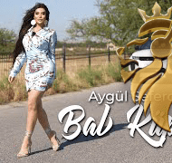 دانلود موزیک و ویدئوی جدید Aygul Seferova به نام Bal Kupum