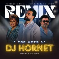 دانلود آهنگ جدید سهیل مهرزادگان به نام Top Hits 1 (دی جی هورنت)