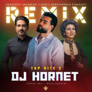 دانلود آهنگ جدید سهیل مهرزادگان به نام Top Hits 2 (دی جی هورنت) دانلود آهنگ جدید سهیل مهرزادگان به نام Top Hits 2 (دی جی هورنت)